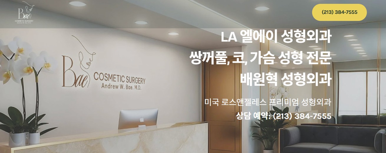 엘에이 성형외과
